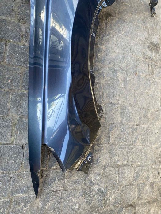 Крило переднє ліве