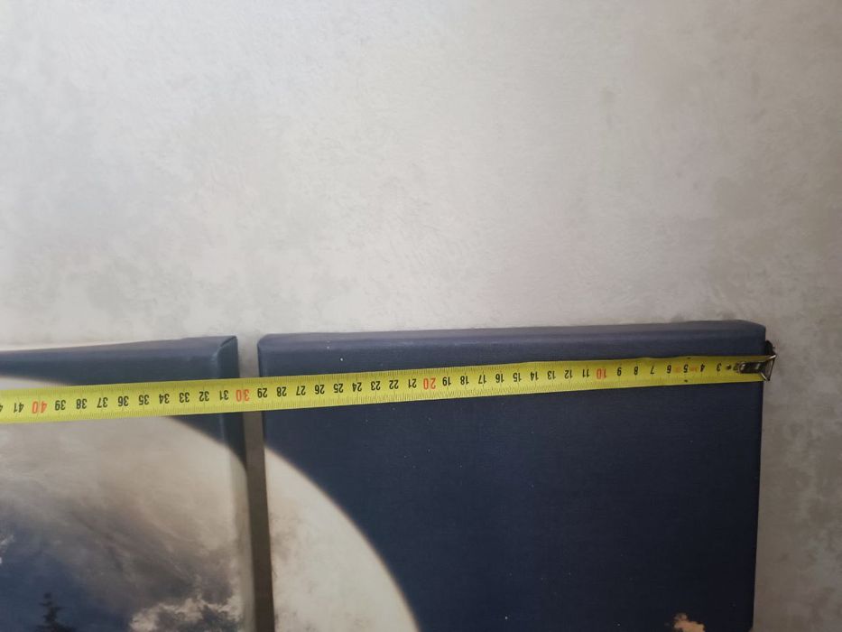 картини 30 на 60 см