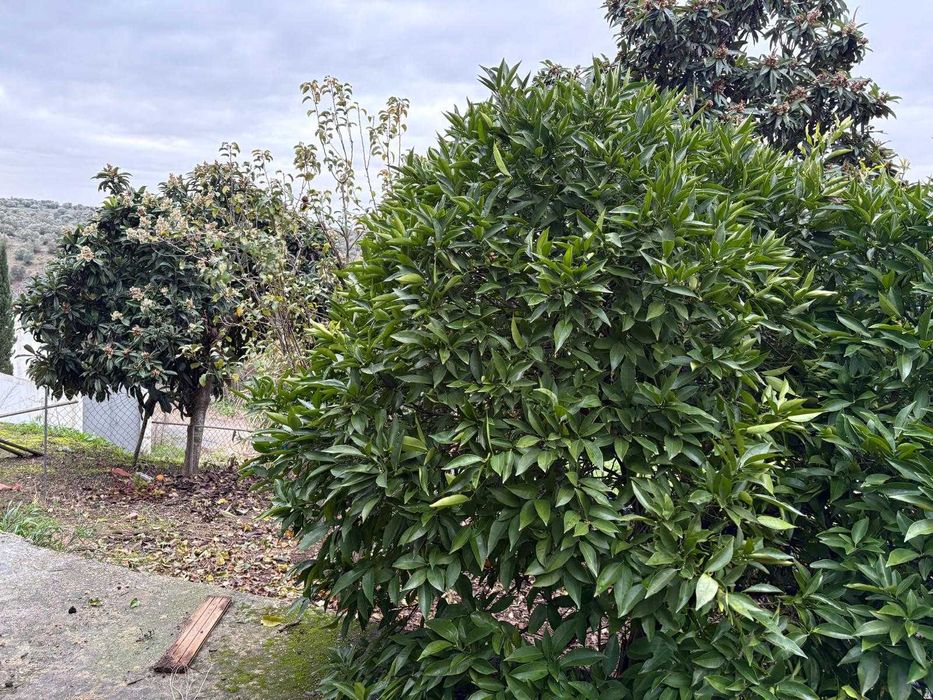 Terreno para construção