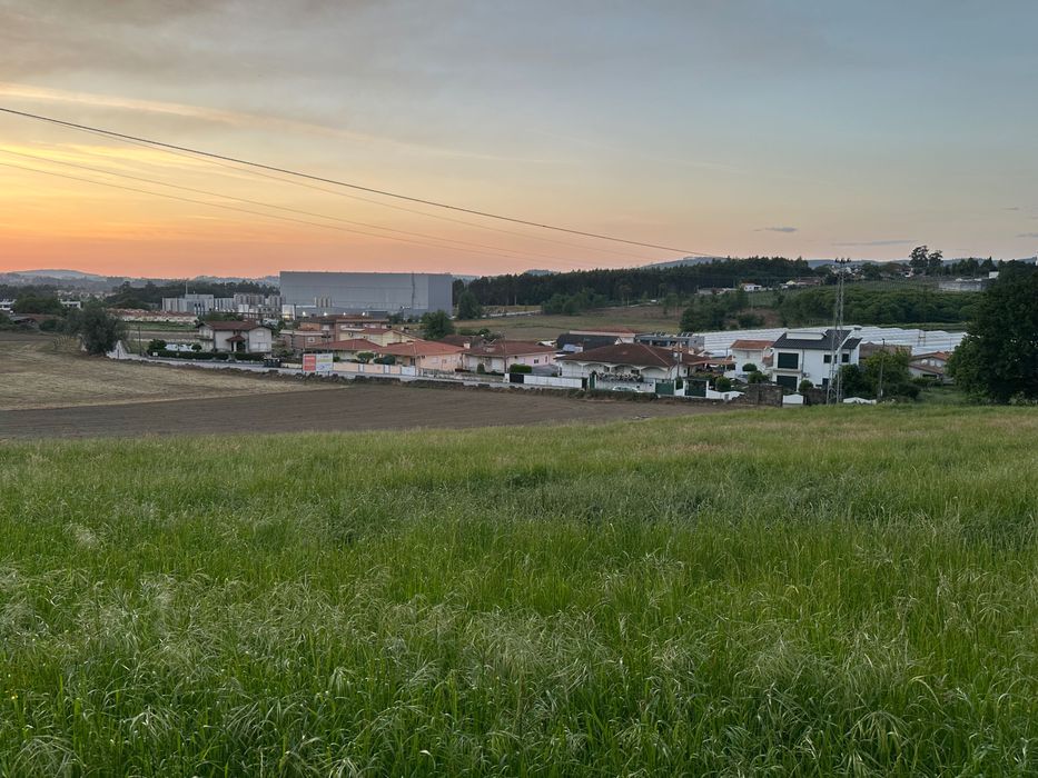 Fardos de azevem pequenos