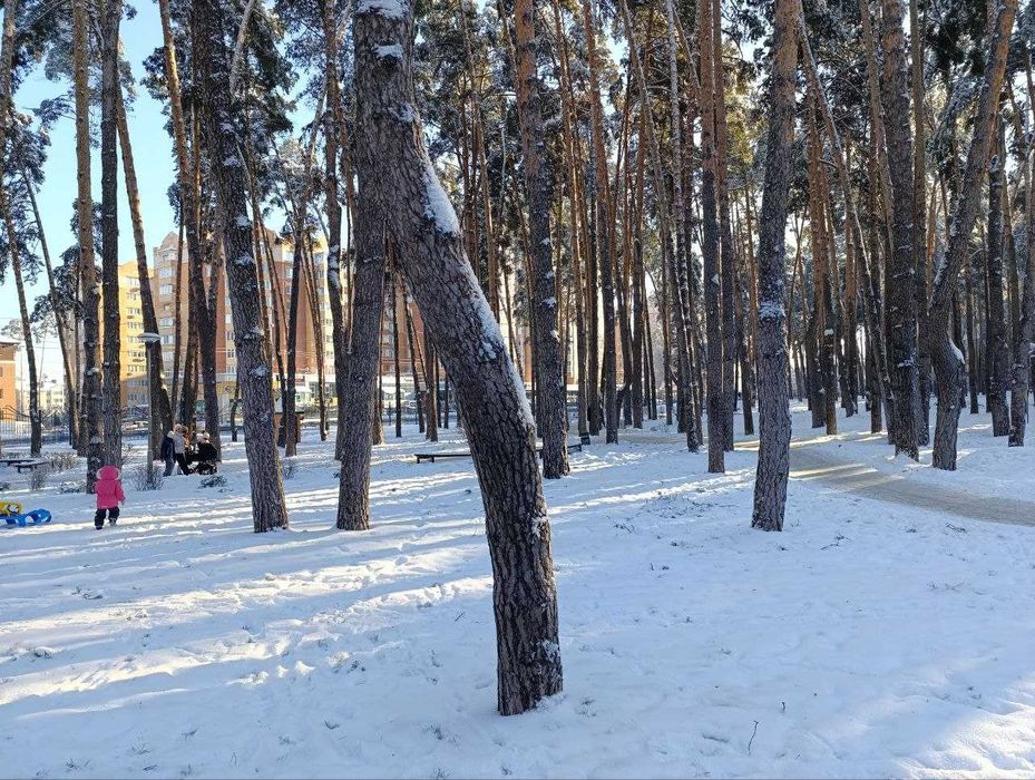 Простора 2-х кімн. у гарному стані з газовим котлом. Центральний парк!