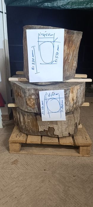 Toros de madeira,ideais para fazer mesas ou peças