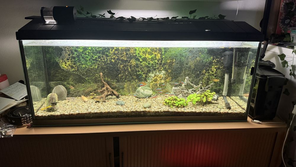 Mega Akwarium 120l z osprzetem