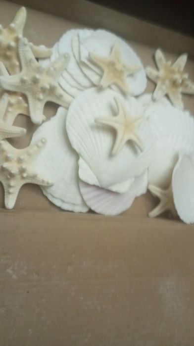 Estrelas e conchas artesanais