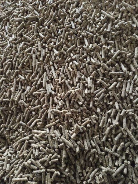 Wysłodki buraczane melasowane NON GMO Werbkowice