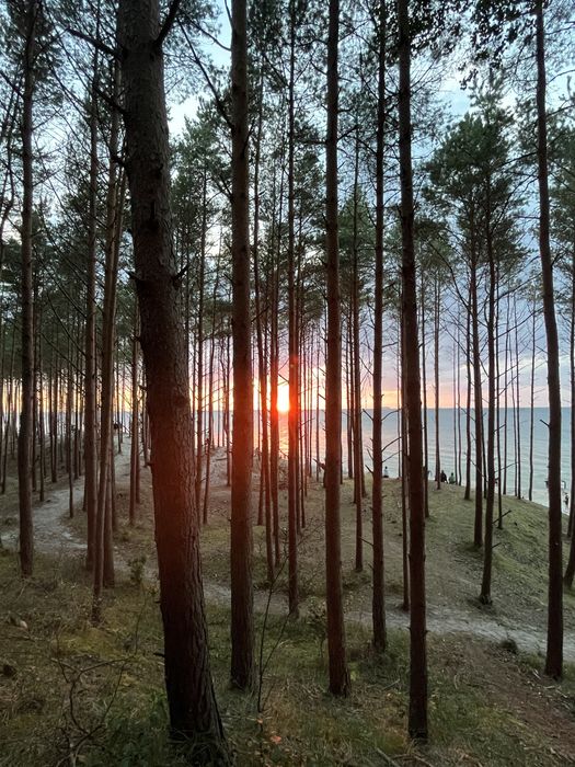 Dom nad morzem - Kopalino, Lubiatowo, duży samodzielny, 100m2,