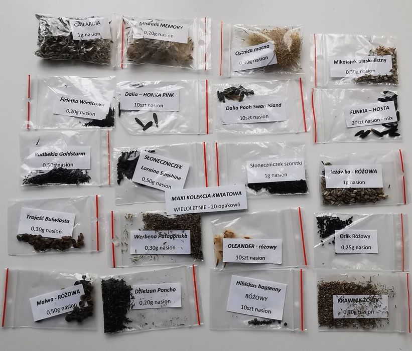 MAXI KOLEKCJA KWIATOWA - 35 opakowań - która upiększy każdy ogród.