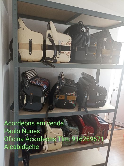 Acordeons vários, 4 voz botões