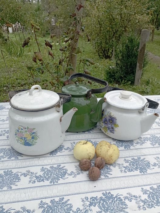 Чайники  металеві
