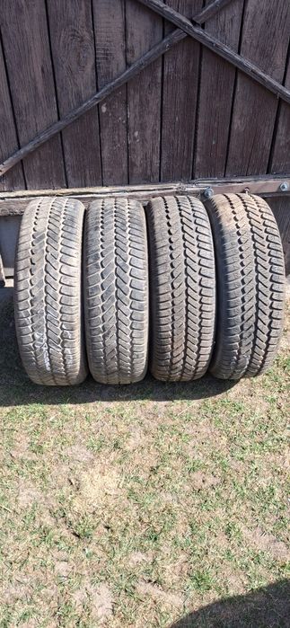 Opony 185/65R15 Debica Caloroczne