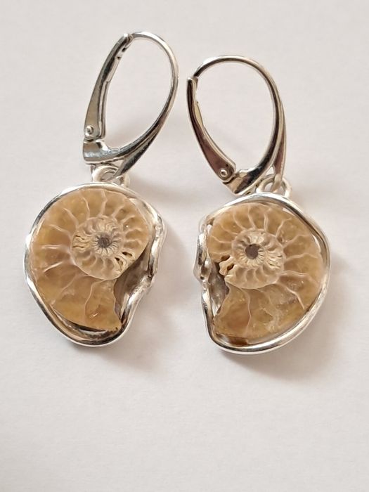Srebrne kolczyki z amonitem