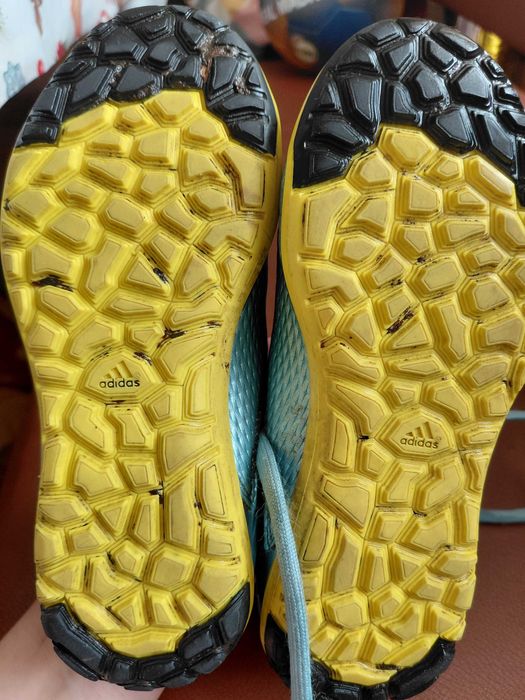 Сороконіжки футбольні