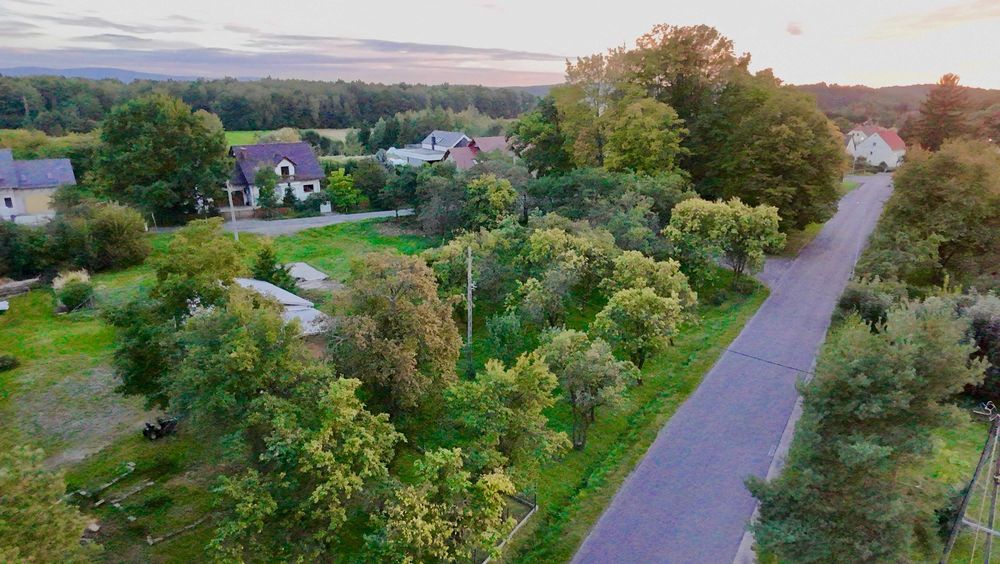Uniegoszcz - Okna z widokiem na park - Zamieszkaj w zielonej okolicy - Widok 2