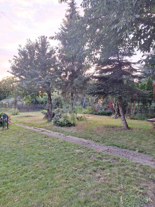 Działka ROD Augustówka 554m2