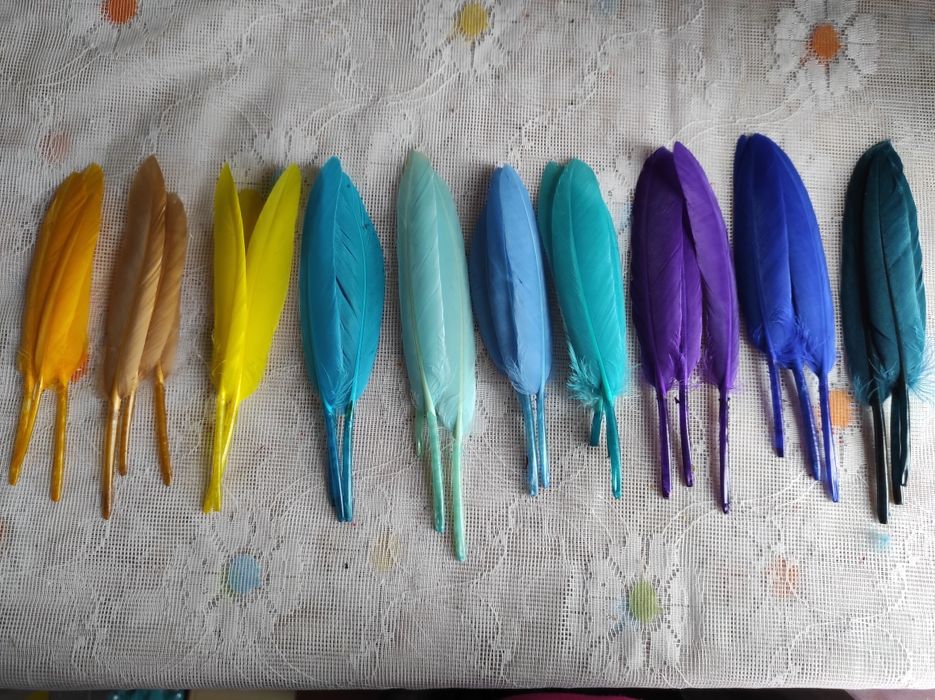 Сухоцвіти декор  пір'їнки  Перышки