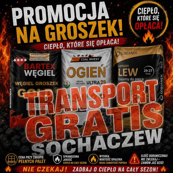 węgiel groszek bartex gold lew 29