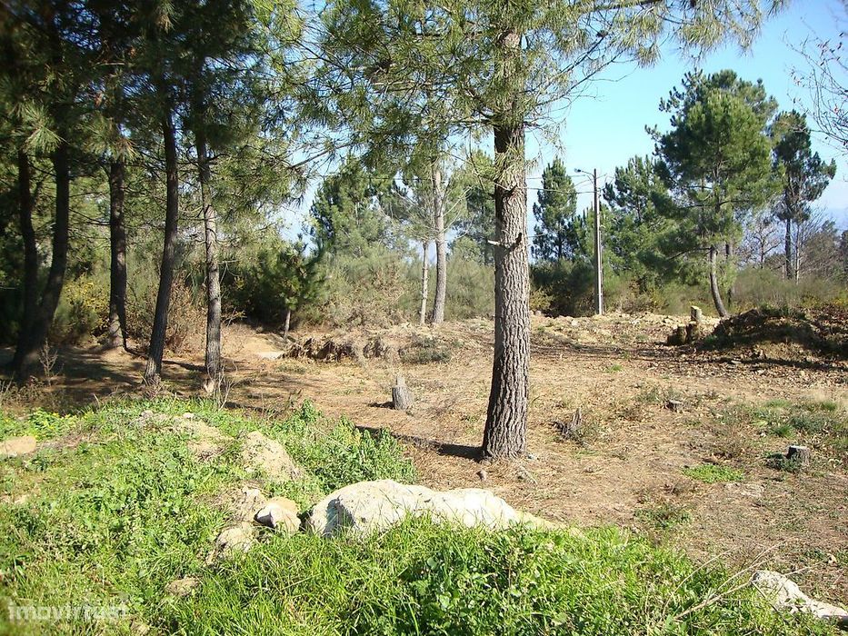 Terreno  para venda