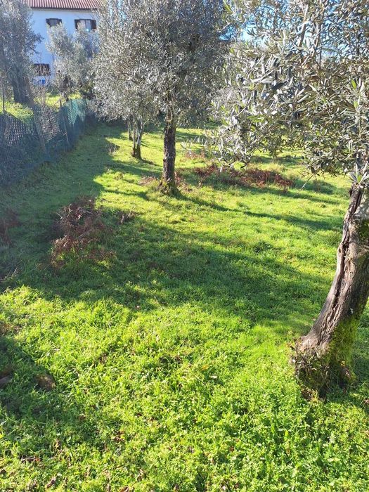 Quintinha Poço e Terreno - Stone house