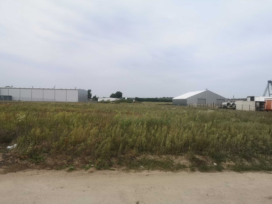 Działka 7662m2 na wynajem w Cieplewie