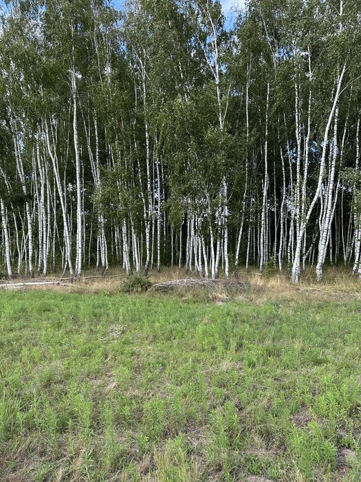Piękna działka 3000m2