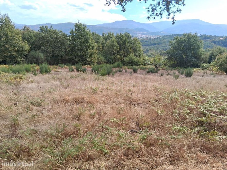 Terreno / Seia, Santiago