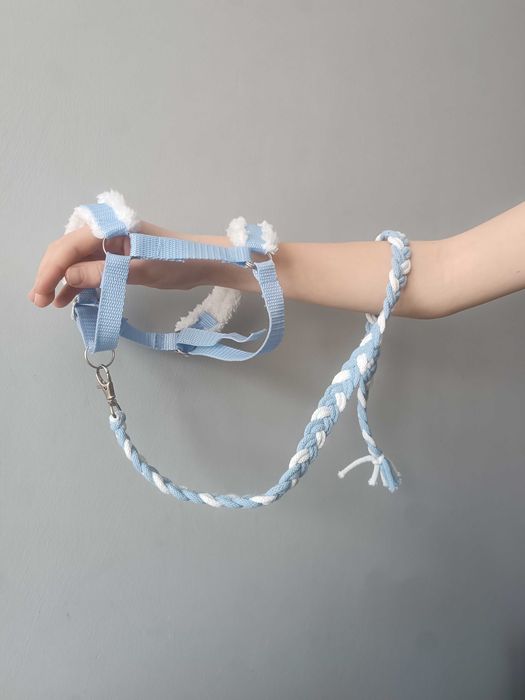 Hobby Horse A3 malowany ręcznie