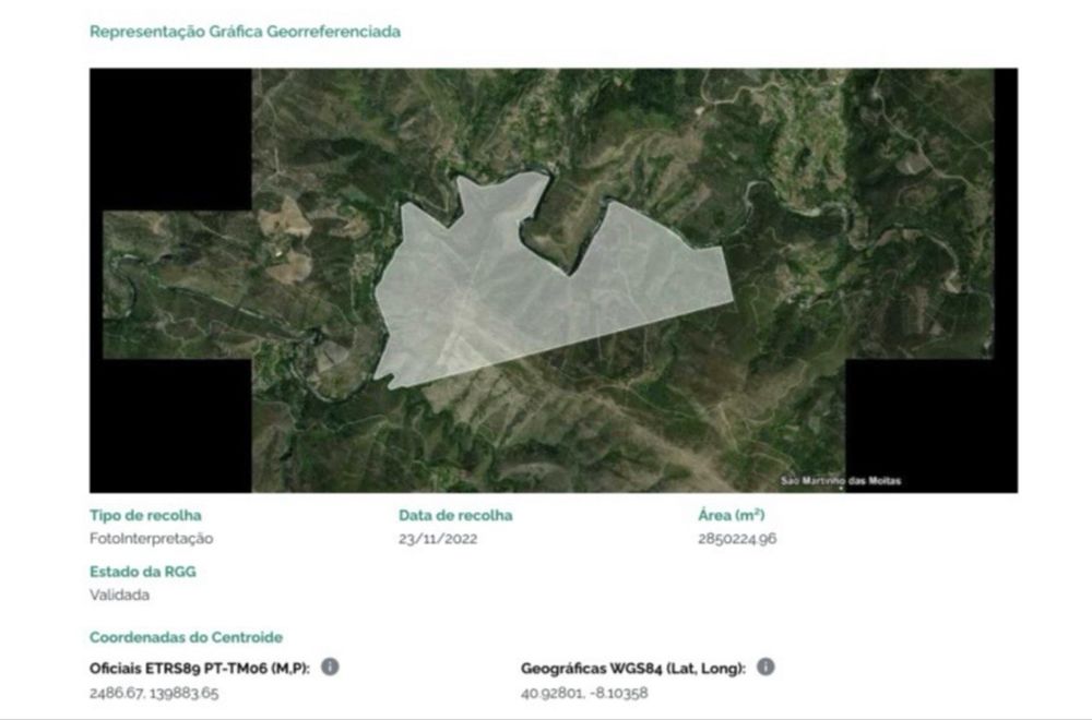 Terreno para plantação de eucalipto.