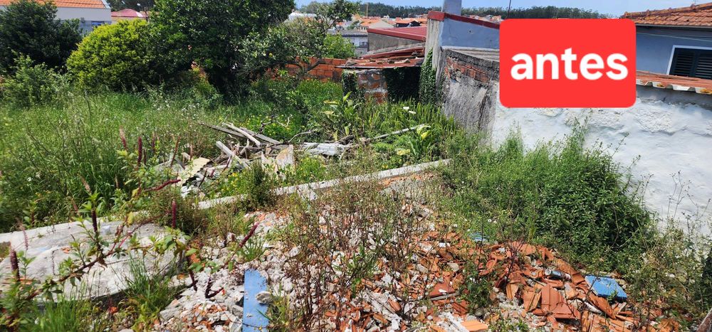 Limpeza de terrenos