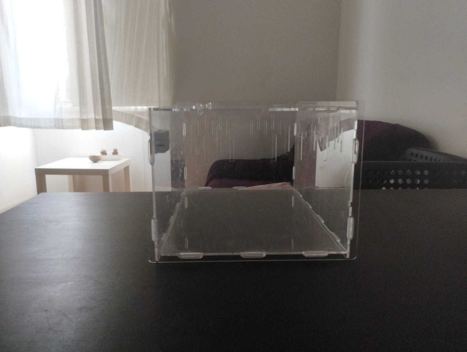 Terrario medio para repteis