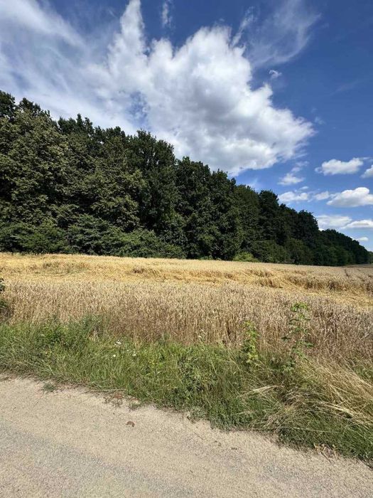 Продаж земельної ділянки 11га на Замості  об'їзна