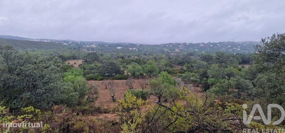 Terreno Agrícola em São Brás de Alportel de 3400,00 m2