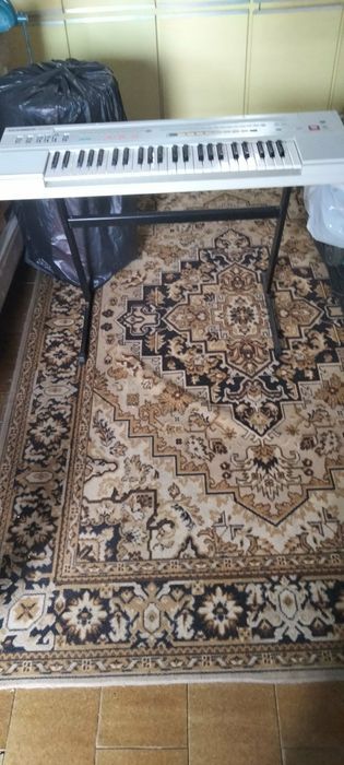 Vendo órgão  eletrônico para desocupar