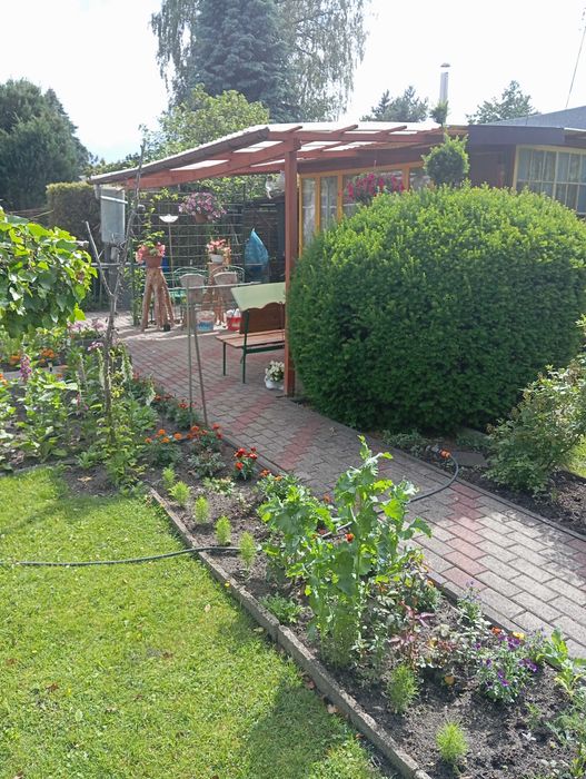 Na sprzedaż działka ROD XX-lecia 540m² nad j. Rudnik, Grudziądz - Widok 3