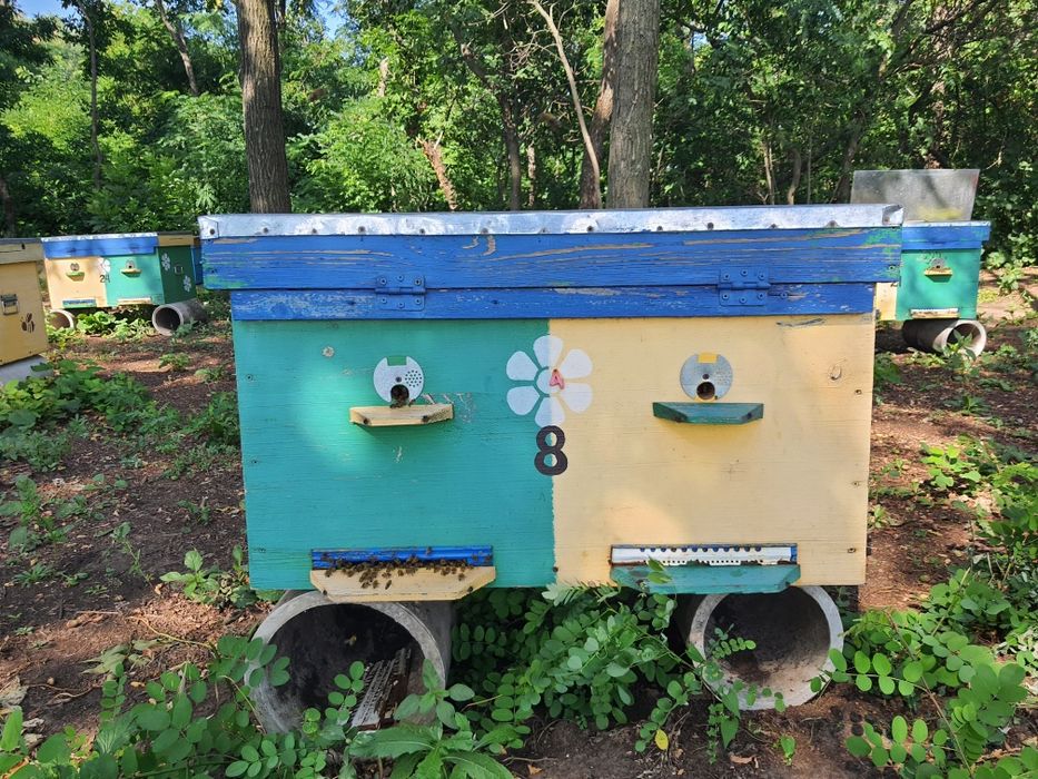 Улья 20 рамочные