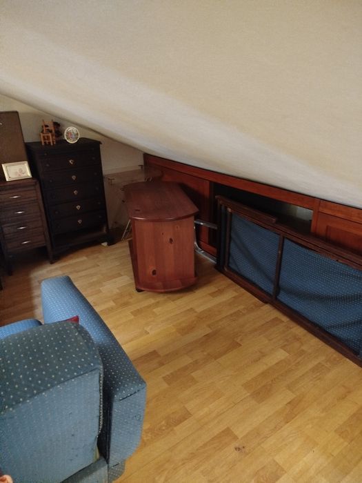 camiseiros castanhos