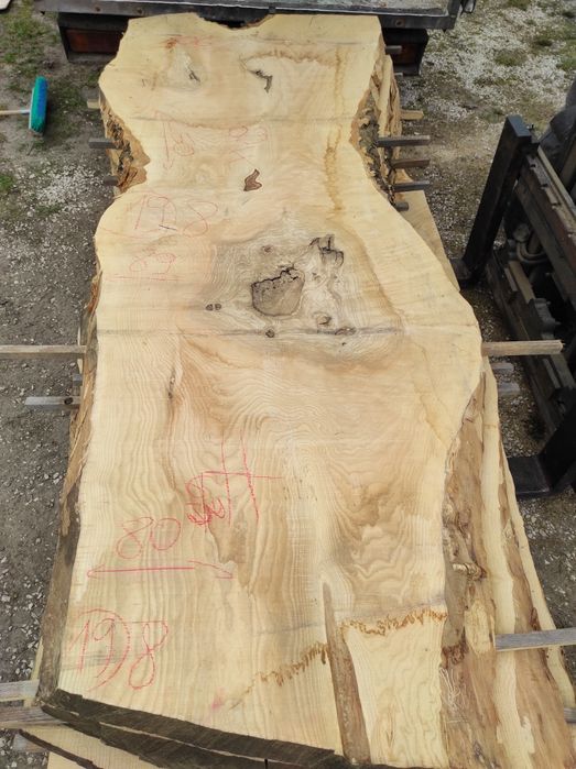 Blaty jesionowe, bale, monolit, po suszarni