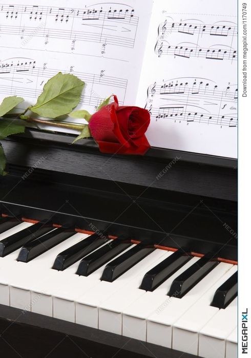 Oprawa muzyczna slubów