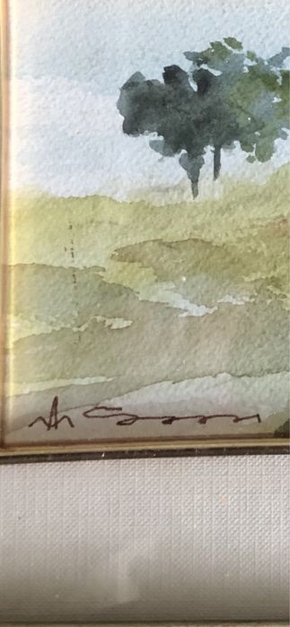 Aguarelas de A M Soares.