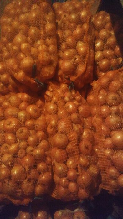 Cebula żółta obierana