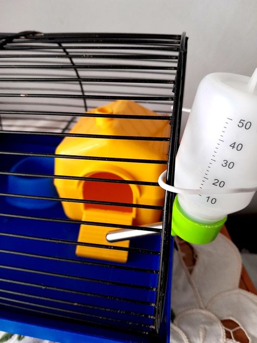 Продам клітку для хом'яків