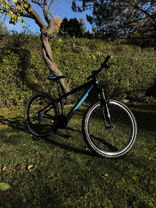 Rower Kands Monster