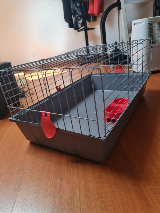 Gaiola roedores nova