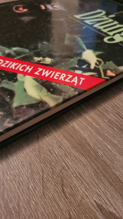Książka - dżungla, encyklopedia dzikich zwierząt