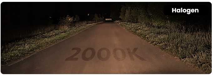 Zarówki samochodowe LED FATEEYE H7 12V 120W 6500K