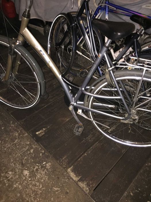 trek batavus rower damka alu