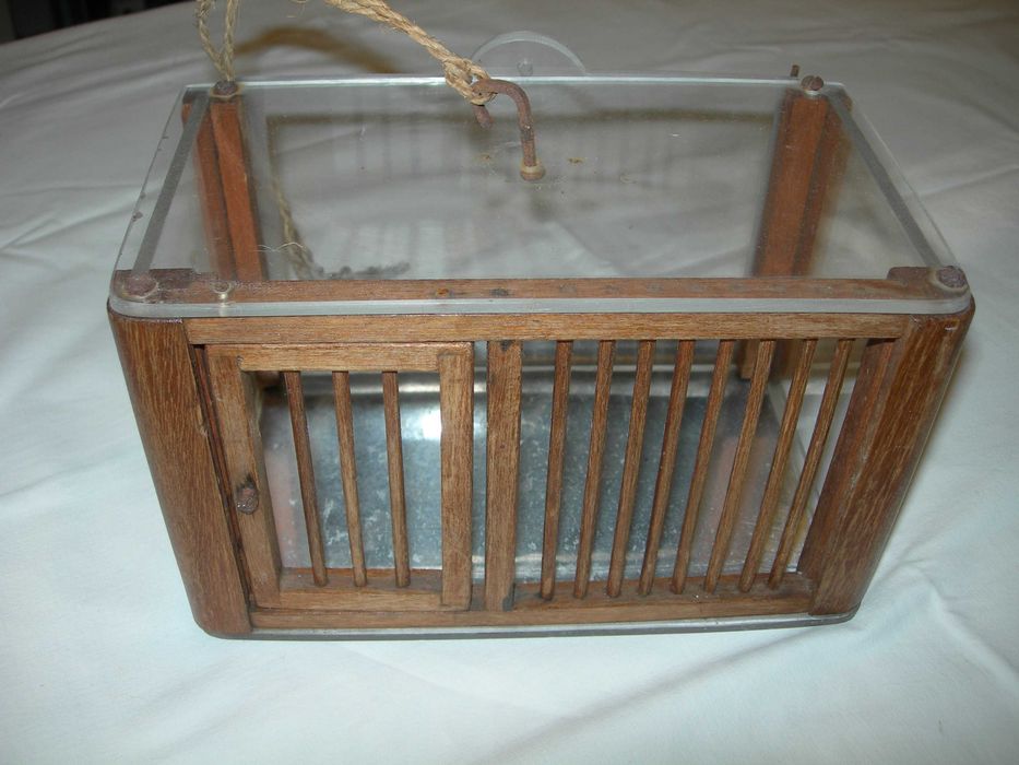 Gaiola de chamariz ou de cantar.