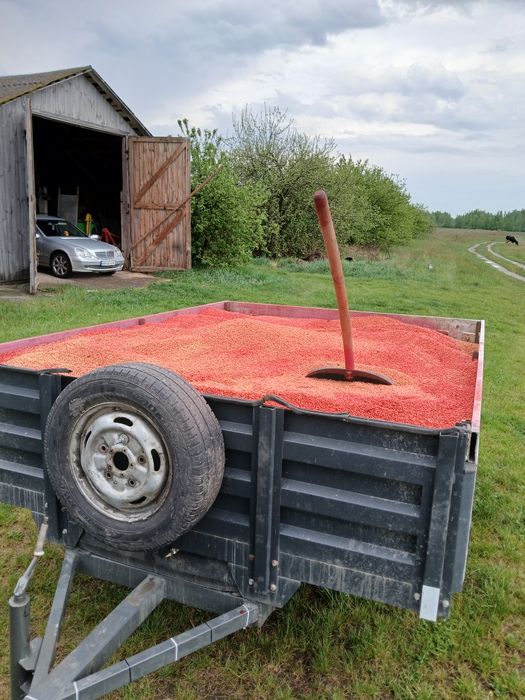 Причеп самоскид під В