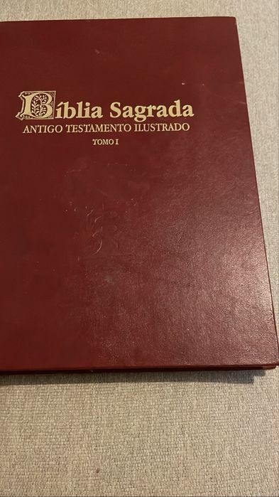 Biblia Sagrada. Antigo testamento ilustrado