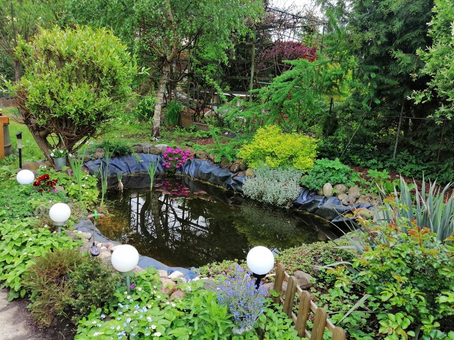 Działka ROD blisko centrum miasta