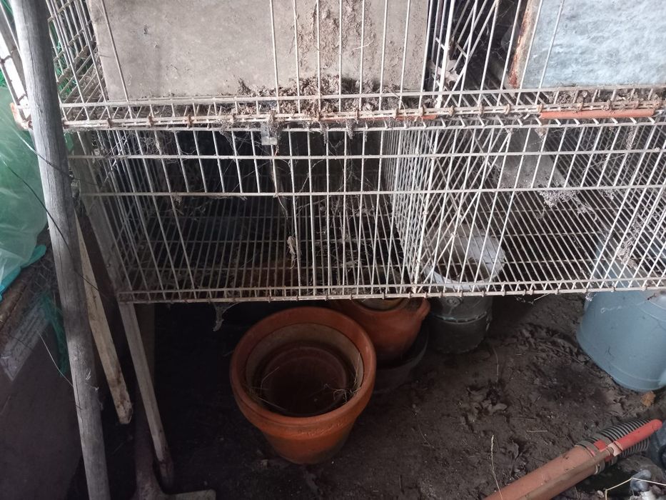 Jaula para coelhos